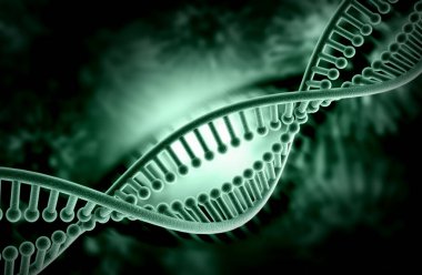 Bir DNA yapısının 3d gösterimi 