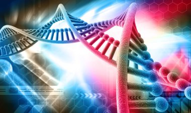 Bir DNA yapısının 3d gösterimi 