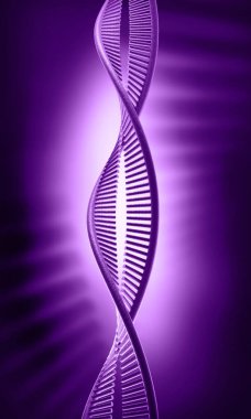 Bir DNA yapısının 3d gösterimi 