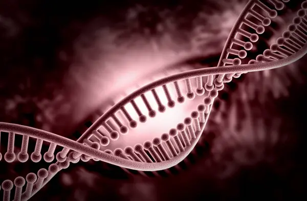 Bir DNA yapısının 3d gösterimi 