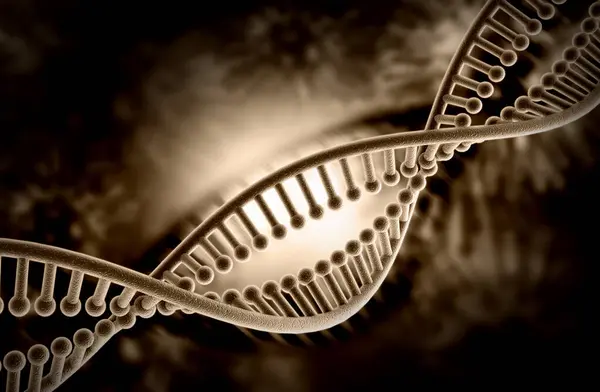 Bir DNA yapısının 3d gösterimi 