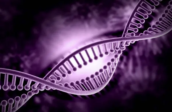 Bir DNA yapısının 3d gösterimi 