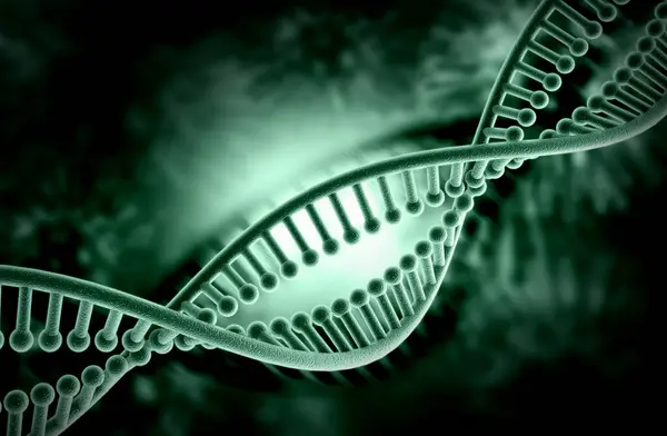 Bir DNA yapısının 3d gösterimi 