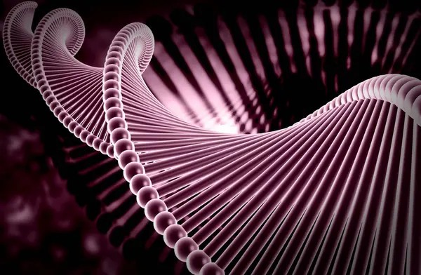 Bir DNA yapısının 3d gösterimi 