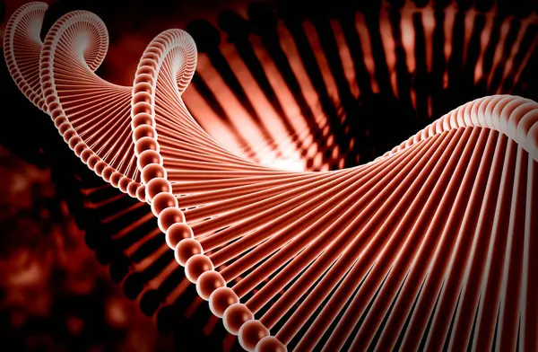 Bir DNA yapısının 3d gösterimi 