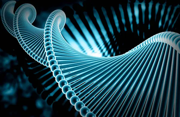 Bir DNA yapısının 3d gösterimi 