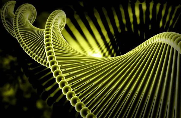 Bir DNA yapısının 3d gösterimi 