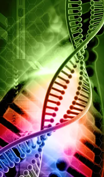 Bir DNA yapısının 3d gösterimi 