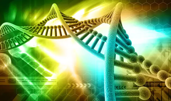 Bir DNA yapısının 3d gösterimi 