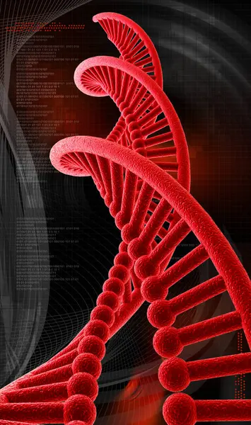 Bir DNA yapısının 3d gösterimi 