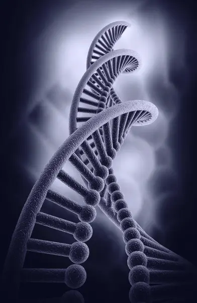 Bir DNA yapısının 3d gösterimi 