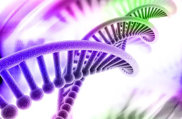 Bir DNA yapısının 3d gösterimi 