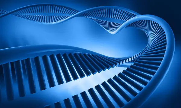 Bir DNA yapısının 3d gösterimi 