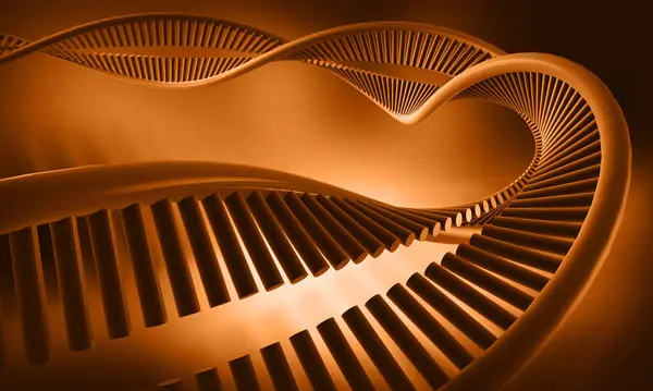 Bir DNA yapısının 3d gösterimi 