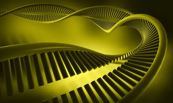 Bir DNA yapısının 3d gösterimi 