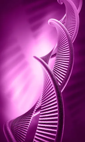 Bir DNA yapısının 3d gösterimi 