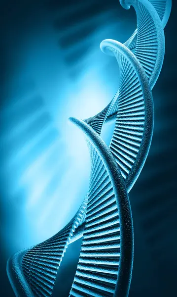 Bir DNA yapısının 3d gösterimi 