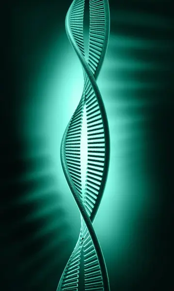 Bir DNA yapısının 3d gösterimi 