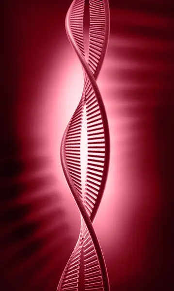 Bir DNA yapısının 3d gösterimi 