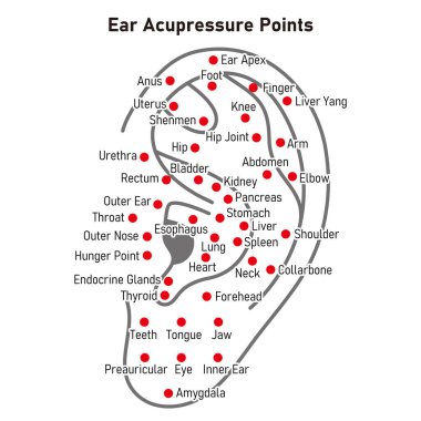 Kulak akustiği noktalarının resimli çizimi (vektör)