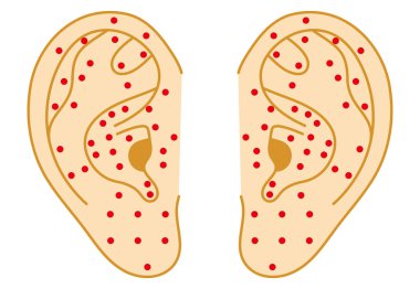 Kulak akustiği noktalarının resimli çizimi (vektör)