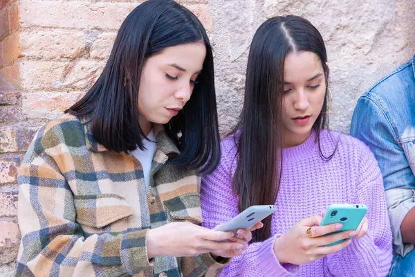 Akıllı telefonlarına bakan bir grup arkadaş kampüste interneti cep telefonuyla tarıyor.