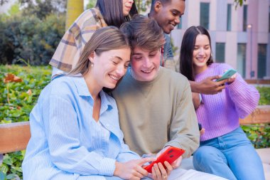 Akıllı telefonlarına bakan bir grup arkadaş kampüste interneti cep telefonuyla tarıyor.