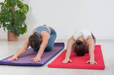 Kafkasyalı kadınlar kapalı alanda yoga minderleri üzerinde çocuk pozu veriyorlar. Etraflarındaki sakin atmosfer ve yumuşak doğal ışık ile rahatlamaya, farkındalığa ve esnekliğe odaklanmış. 