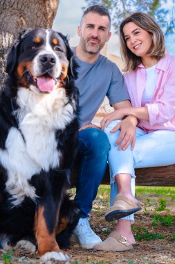 Dikey görüntü, gülümseyen beyaz bir çiftin büyük köpeğiyle tatilde olduğunu gösteriyor. Açık hava sahnesi, bir ağacın altında bir bankta oturmak, aşkı ifade etmek, sakinlik ve doğada bir bağ.. 