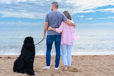 Kumlu bir sahilde köpekleri tasmalı bir şekilde, bulutlu bir gökyüzünün altında okyanusa bakarken, arkadaşlığı, doğayı ve huzurlu anları sembolize eden bir çiftin arka görüntüsü.. 
