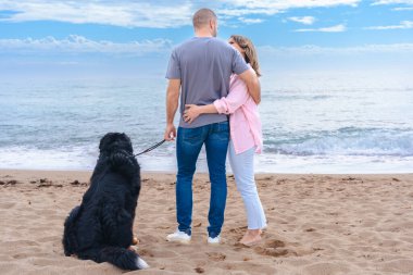 Kumlu bir sahilde köpekleri tasmalı bir şekilde, bulutlu bir gökyüzünün altında okyanusa bakarken, arkadaşlığı, doğayı ve huzurlu anları sembolize eden bir çiftin arka görüntüsü.. 