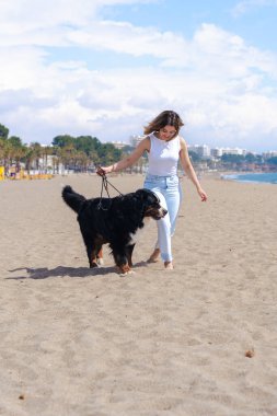 Genç bir kadın, güneşli bir kumsalda, palmiye ağaçlarıyla Bernese Mountain Dog 'la yürüyor. Mavi gökyüzünün altında rahatlatıcı bir an, deniz kenarında yürümek için mükemmel bir gün, sıradan ve doğal bir sahne. Dikey