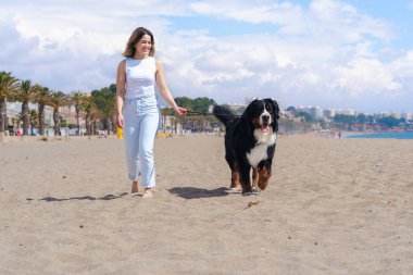 Genç bir kadın, güneşli bir kumsalda, palmiye ağaçlarıyla Bernese Mountain Dog 'la yürüyor. Mavi gökyüzünün altında rahatlatıcı bir an, deniz kenarında yürümek için mükemmel bir gün, sıradan ve doğal bir sahne.. 