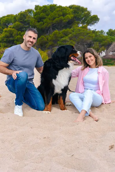 Tatil sırasında sahilde büyük köpekleri ile gülümseyen beyaz bir çiftin dikey portresi. Deniz kenarında rahat ve keyifli bir an. Üçü de aydınlık bir günde kameraya bakıyor.. 