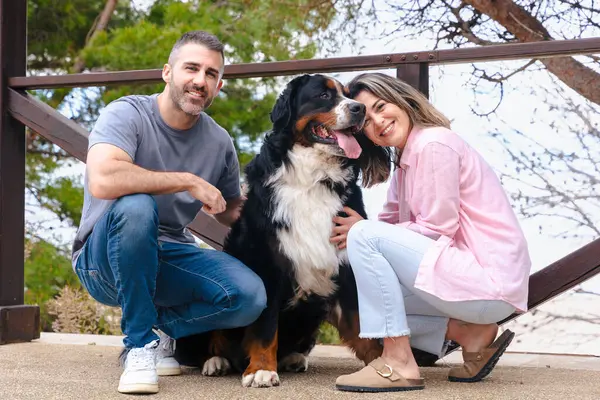 Kafkasyalı bir çift plajın yanında büyük köpekleri ile birlikte gülümsüyor ve tatilde birlikte poz veriyorlar. Parlak bir günde evcil hayvanlarıyla mutlu bir bağ, sevgi ve arkadaşlık anı.. 