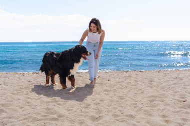 Genç bir kadın, güneşli bir kumsalda, palmiye ağaçlarıyla Bernese Mountain Dog 'la yürüyor. Mavi gökyüzünün altında rahatlatıcı bir an, deniz kenarında yürümek için mükemmel bir gün, sıradan ve doğal bir sahne.. 
