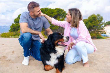 Neşeli çift kumlu bir plajda köpekleriyle vakit geçiriyor. Doğada barışçıl bir anın tadını çıkarırken gülümser ve iletişim kurarlar. Parçalı bulutlu bir gökyüzünün altında kürklü eşleriyle.. 