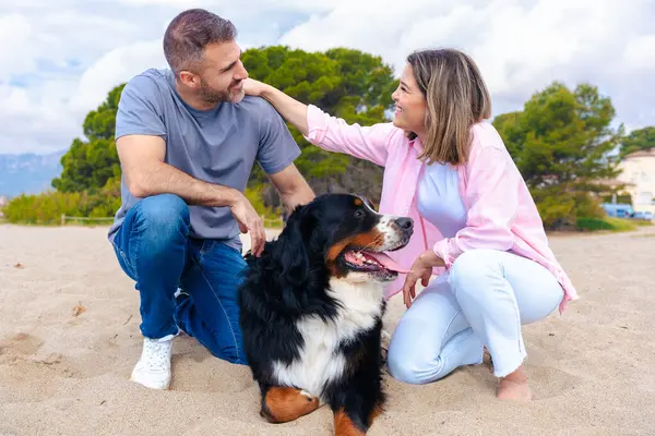 Neşeli çift kumlu bir plajda köpekleriyle vakit geçiriyor. Doğada barışçıl bir anın tadını çıkarırken gülümser ve iletişim kurarlar. Parçalı bulutlu bir gökyüzünün altında kürklü eşleriyle.. 
