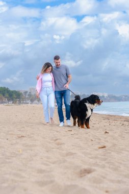 Bulutlu bir gökyüzünün altında köpekleriyle birlikte sessiz bir plaj boyunca yürüyen mutlu bir çift. Açık fotokopi alanı ve sakin bir kıyı arkaplanı olan okyanus kenarında huzurlu bir anın tadını çıkarıyorlar. Dikey