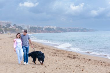 Bulutlu bir gökyüzünün altında köpekleriyle birlikte sessiz bir plaj boyunca yürüyen mutlu bir çift. Açık fotokopi alanı ve sakin bir kıyı arkaplanı olan okyanus kenarında huzurlu bir anın tadını çıkarıyorlar.. 