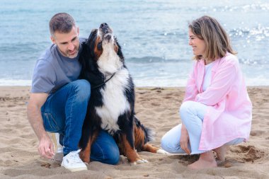Neşeli çift kumlu bir plajda köpekleriyle vakit geçiriyor. Doğada barışçıl bir anın tadını çıkarırken gülümser ve iletişim kurarlar. Parçalı bulutlu bir gökyüzünün altında kürklü eşleriyle.. 