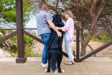Büyük siyah bir köpeğe sahip bir çiftin ağaçlarla çevrili ahşap bir terasta manzaranın keyfini çıkarması doğa ve arkadaşlıkla huzurlu bir açık hava anı.. 