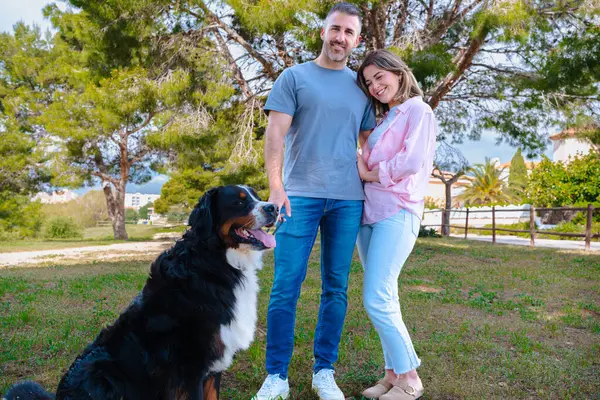 Kafkasyalı bir çift plajın yanında büyük köpekleri ile birlikte gülümsüyor ve tatilde birlikte poz veriyorlar. Parlak bir günde evcil hayvanlarıyla mutlu bir bağ, sevgi ve arkadaşlık anı.. 