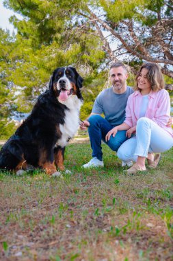 Sahilin yanında büyük köpekleri olan beyaz bir çift, tatilde gülümsüyor ve birlikte poz veriyorlar. Hayvanlarıyla mutlu bir bağ, aşk ve dostluk anı . 