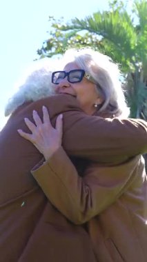 Güneşli bir parkta kucaklaşan mutlu yaşlı bir çift, ikisi de kahverengi paltolu ve gözlüklü, sevgi dolu bir kucaklaşmanın tadını çıkarıyorlar, şefkat ve arkadaşlık gösteriyorlar, modern stok içeriği için dikey fotoğraf 