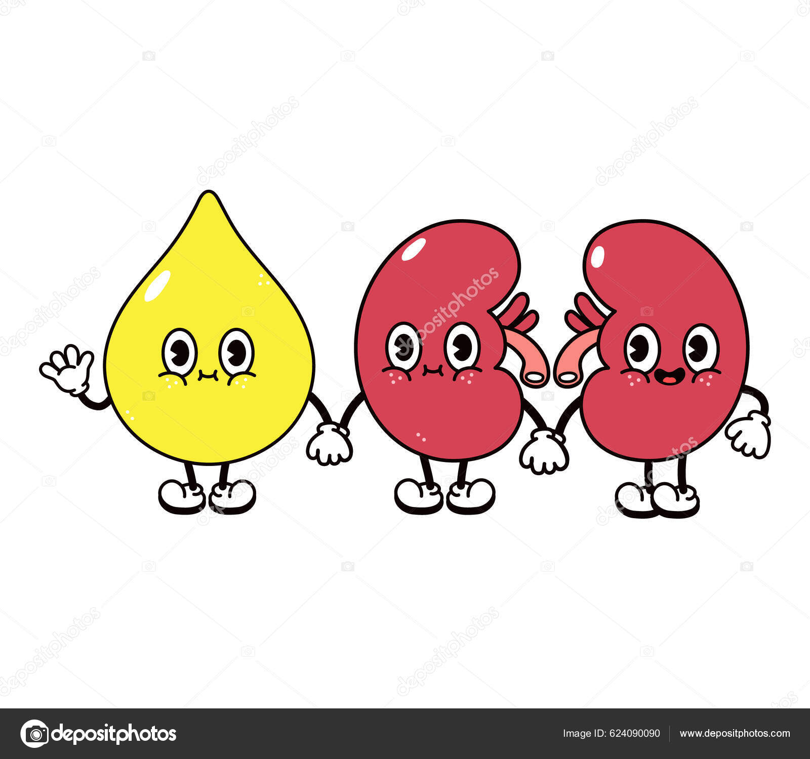 Søt Morsom Lykkelig Dråpe Urin Nyrer Karakter Tegneseriefigurer Tegnet  Vektor stockvektor © Yecher81 #624090090, image size:1600x1500