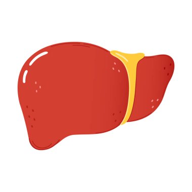 Sevimli komik karaciğer karakteri. Vektör el çizimi çizgi film kawaii karakter çizimi simgesi. Beyaz arka planda izole edilmiş. Mutlu karaciğer karakter konsepti