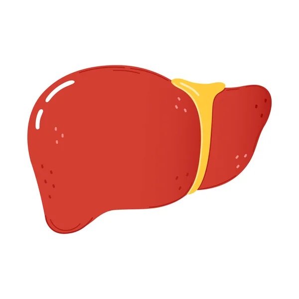 かわいい面白い肝臓の文字 ベクトル手描き漫画カワイイキャラクターイラストアイコン 白い背景に隔離されている 幸せな肝文字の概念 — ストックベクタ