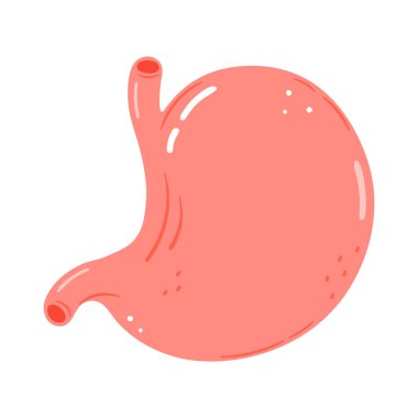 Sevimli komik mide karakteri. Vektör el çizimi çizgi film kawaii karakter çizimi simgesi. Beyaz arka planda izole edilmiş. Mutlu mide karakter konsepti