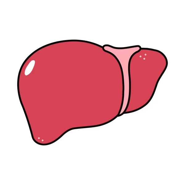 かわいい面白い肝臓のアイコン ベクターハンドは 伝統的な漫画のヴィンテージ レトロなカワイイキャラクターイラストのアイコンを描いた 隔離された白い背景 肝文字の概念 — ストックベクタ